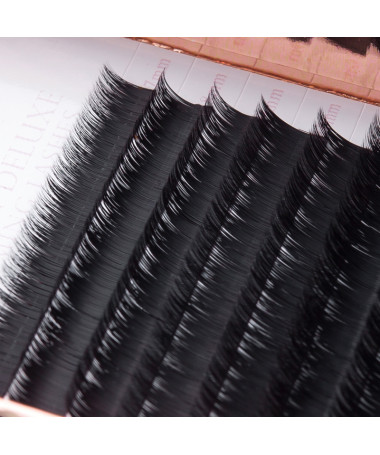 EASY FAN LASHES