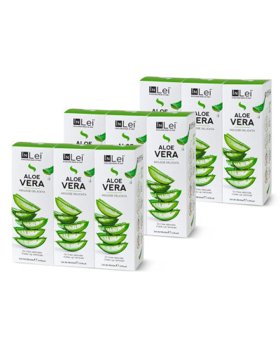 InLei Reinigungsschaum mit Aloe Ferm Bio – sanfter Cleanser